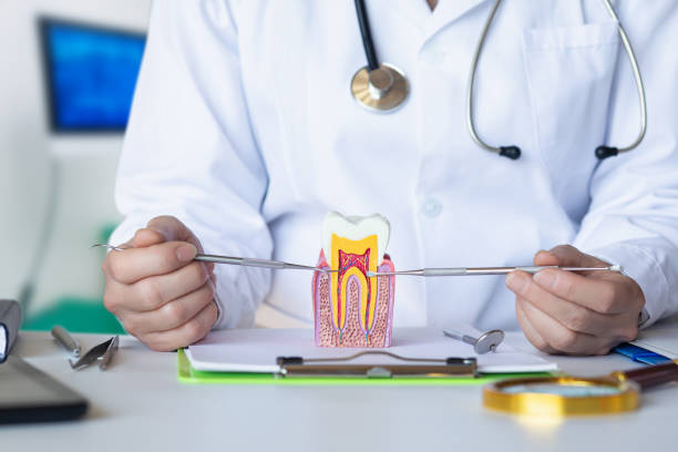 Best Knocked-Out Tooth Emergency  in , AL